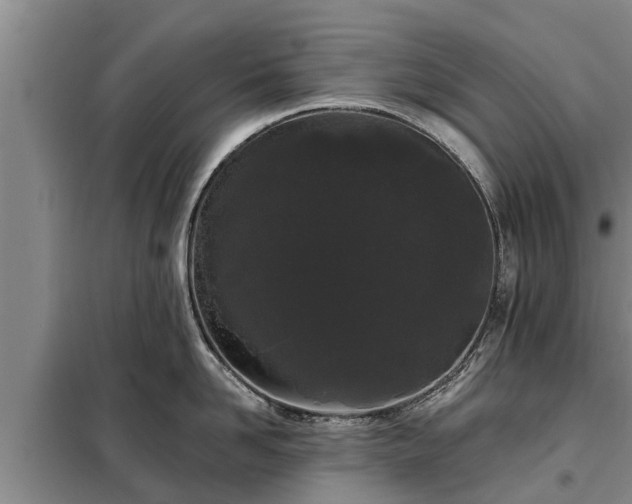 X0000099300958200805090951