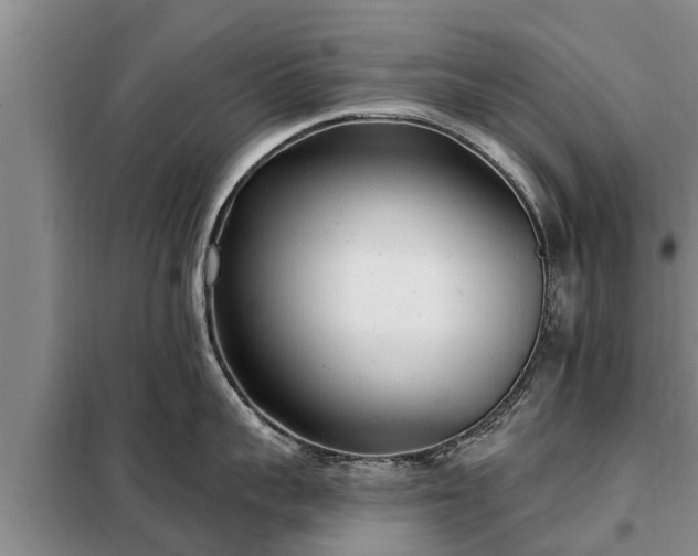 X0000099300959200805090951