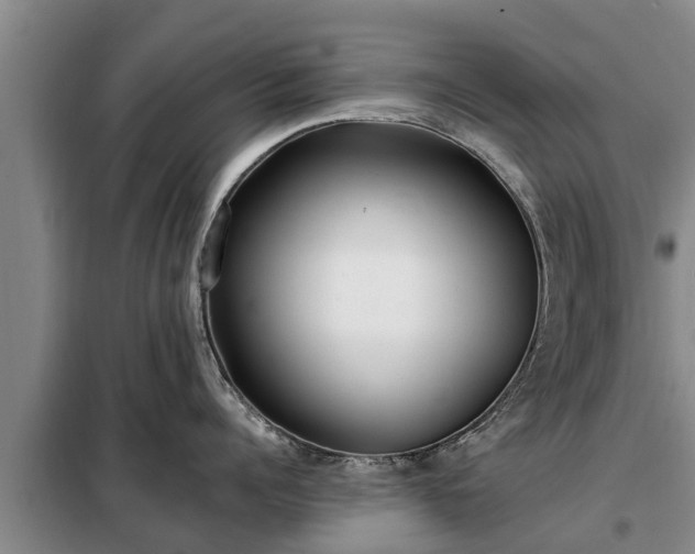 X0000099300960200805090951