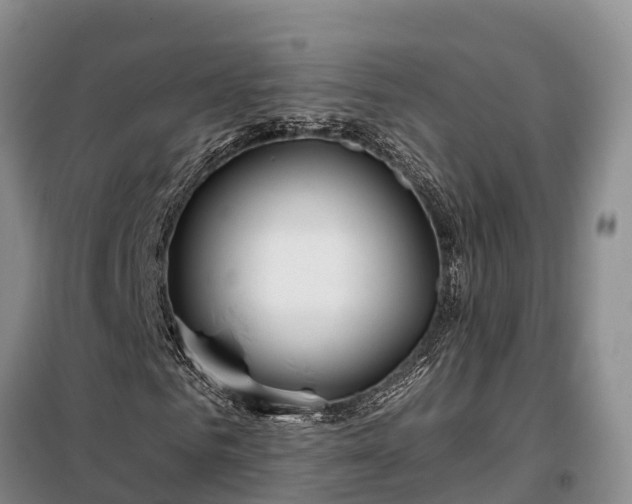 X0000099300961200805090950