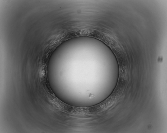 X0000099300962200805090950