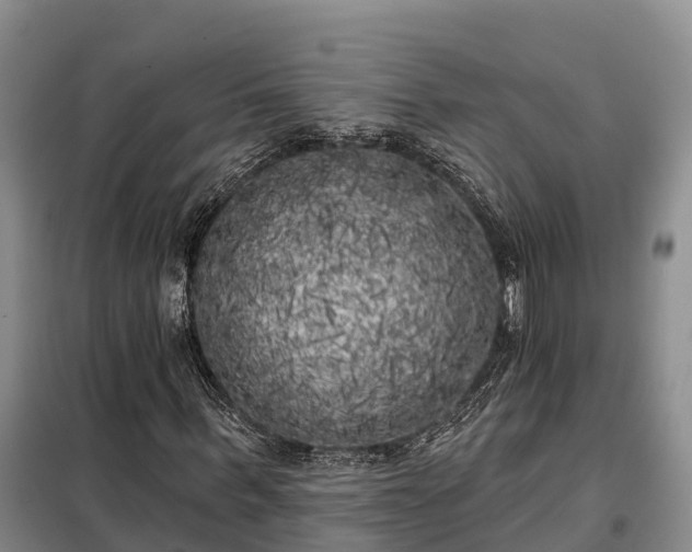 X0000099300963200805090950