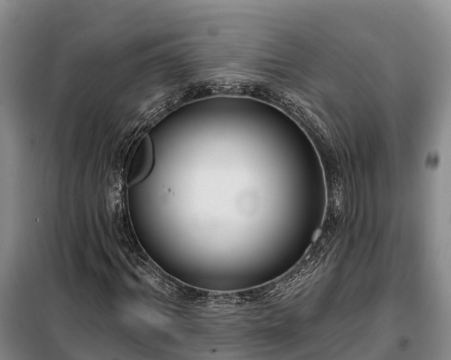 X0000099300964200805090950