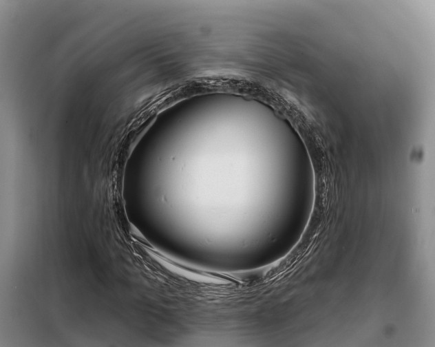 X0000099300965200805090950