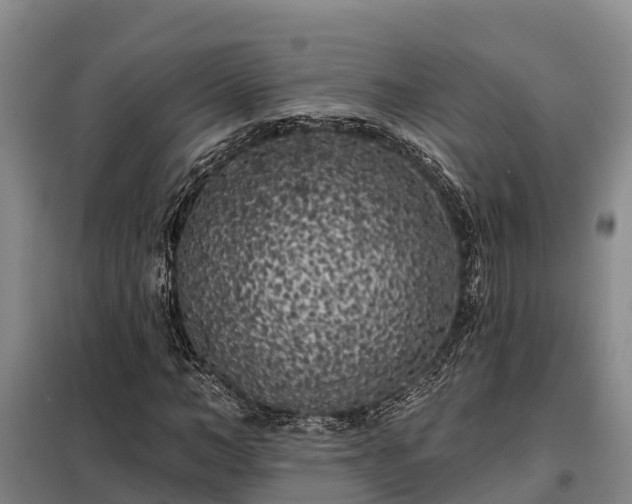 X0000099300966200805090950