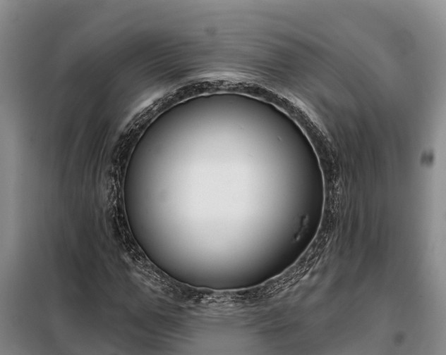 X0000099300967200805090950