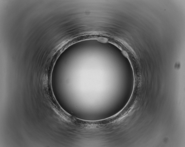 X0000099300969200805090950