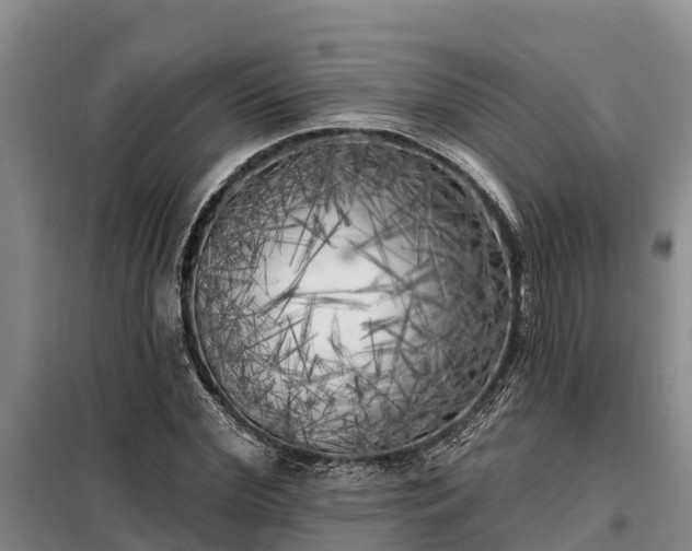 X0000099300972200805090950