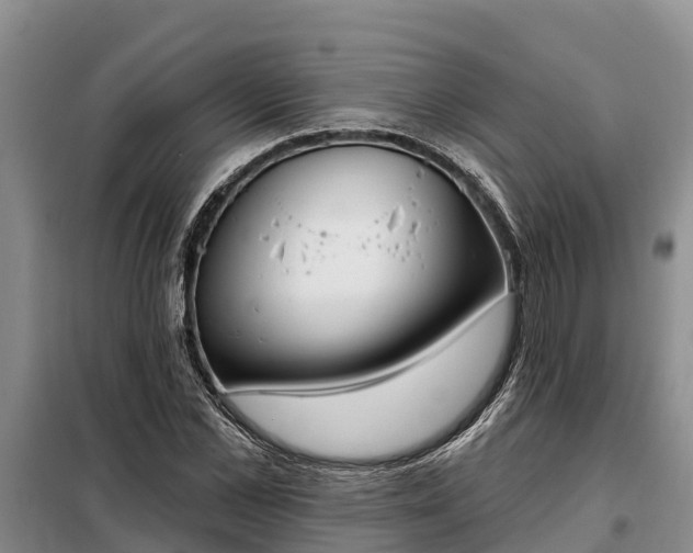 X0000099300973200805090950