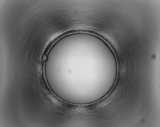 X0000099300974200805090950