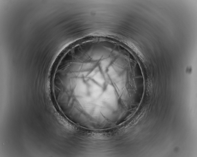 X0000099300976200805090950