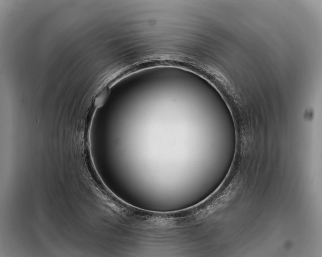 X0000099300977200805090950