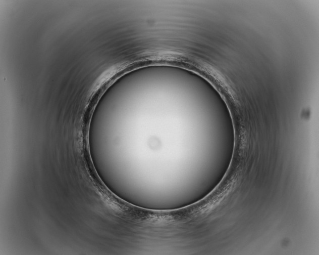 X0000099300978200805090950