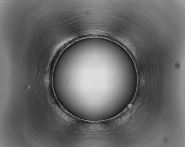 X0000099300979200805090950