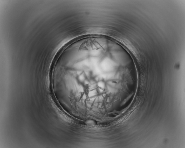 X0000099300980200805090950