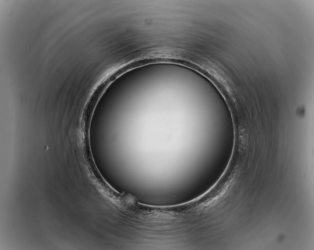 X0000099300981200805090950