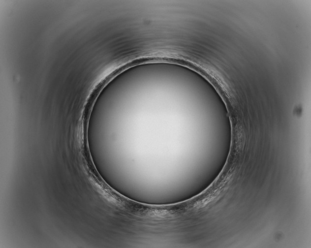 X0000099300982200805090950