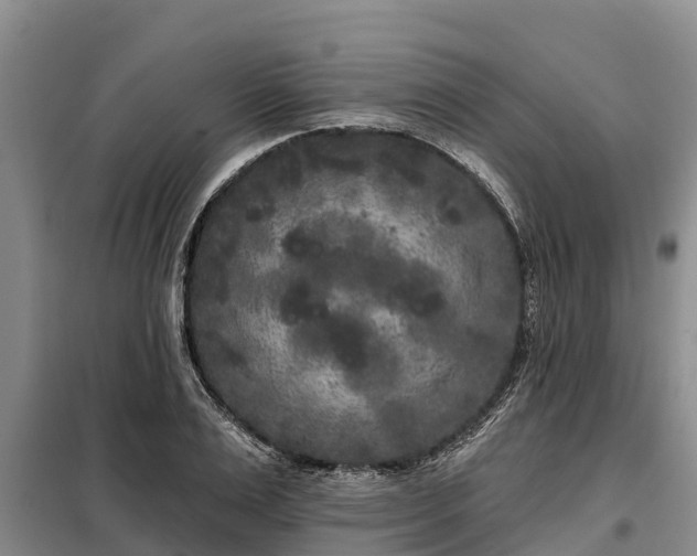 X0000099300983200805090950