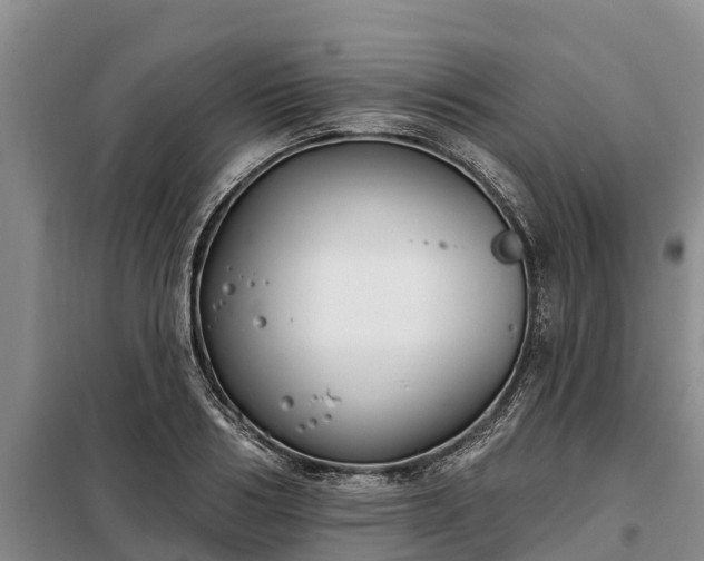 X0000099300986200805090950