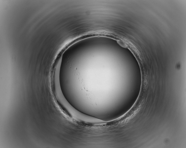 X0000099300989200805090950