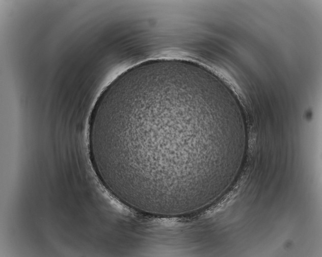 X0000099300990200805090950