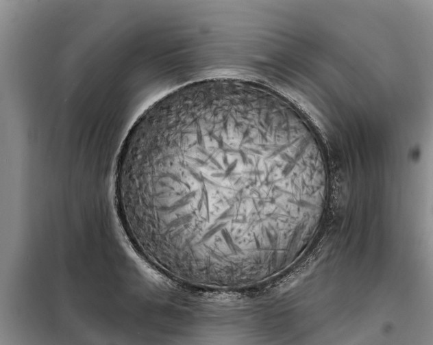 X0000099300991200805090950