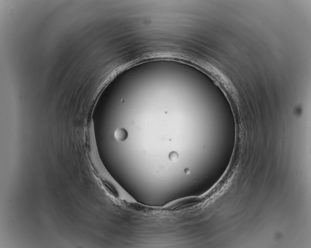 X0000099300993200805090950