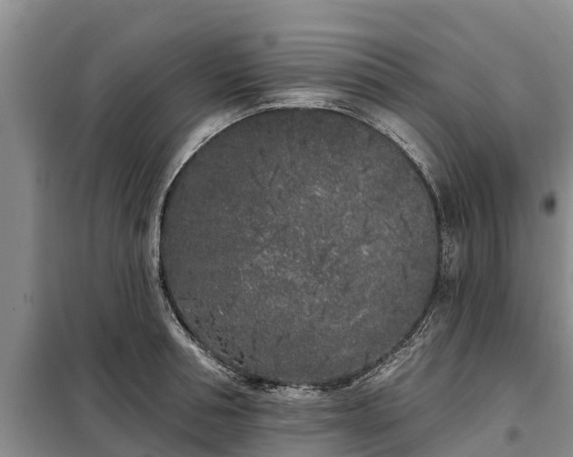 X0000099300994200805090950