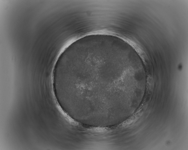 X0000099300998200805090950