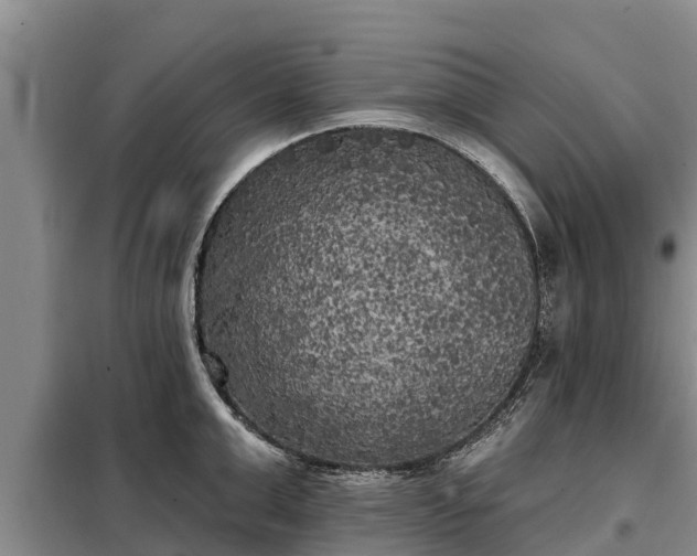 X0000099300999200805090950