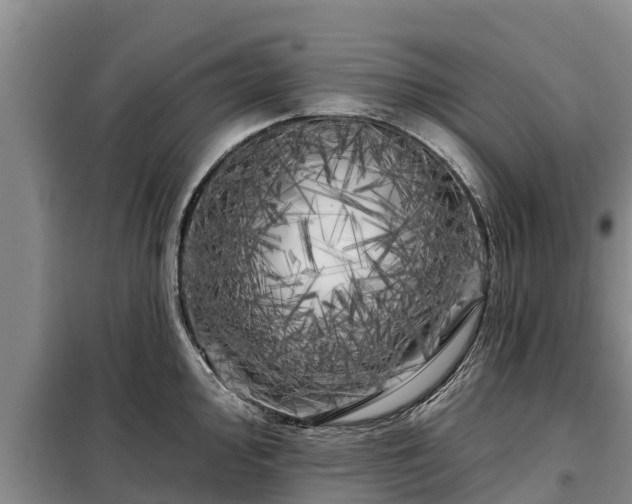 X0000099301000200805090950