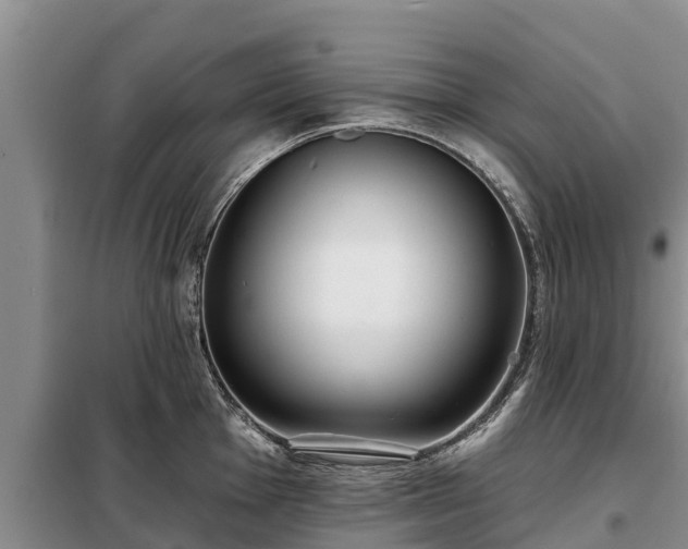 X0000099301001200805090950