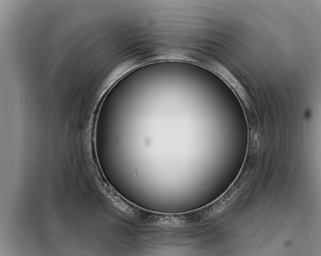 X0000099301002200805090950