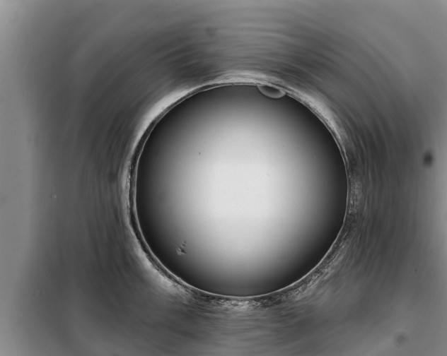 X0000099301003200805090950