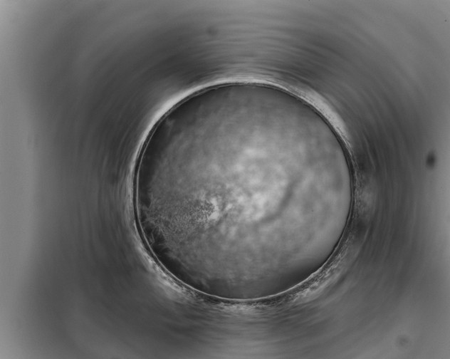 X0000099301004200805090950