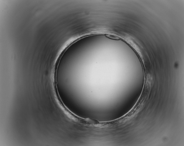 X0000099301005200805090950