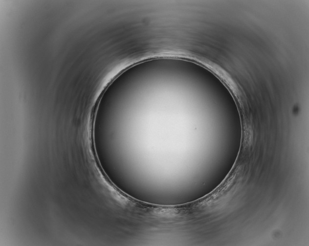 X0000099301006200805090950