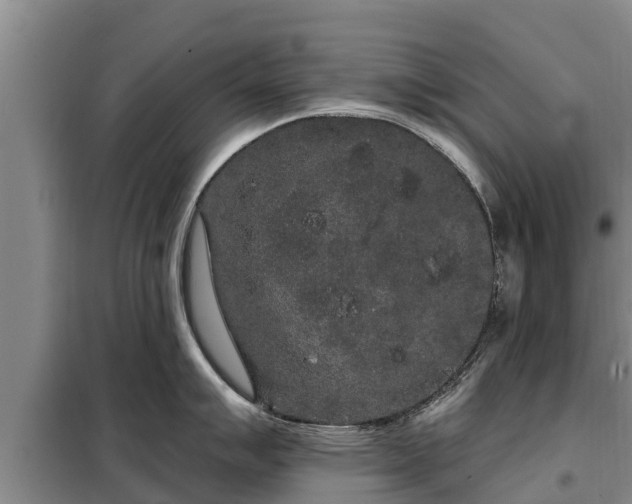 X0000099301007200805090950