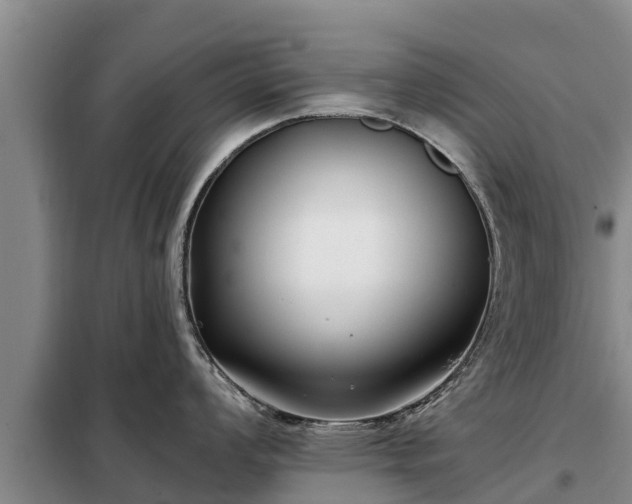 X0000099301008200805090950