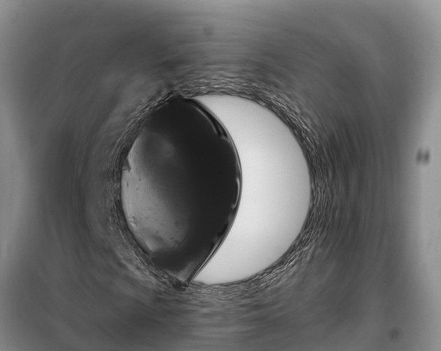 X0000099301009200805090949