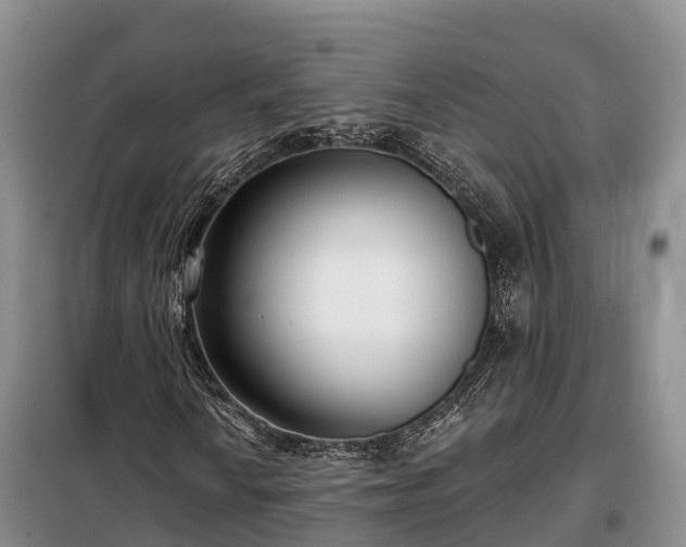 X0000099301010200805090949