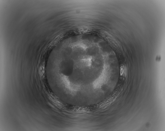 X0000099301011200805090949