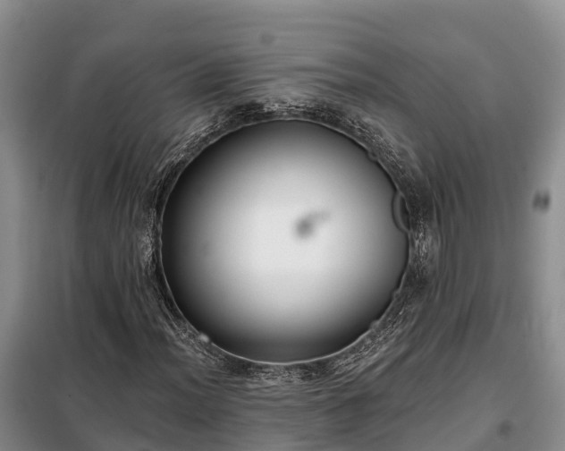 X0000099301012200805090949