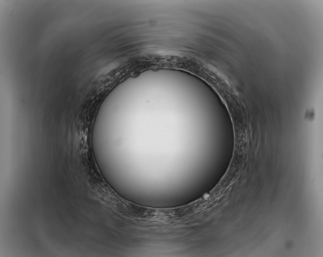 X0000099301013200805090949