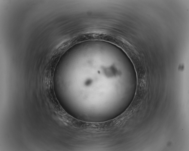 X0000099301014200805090949