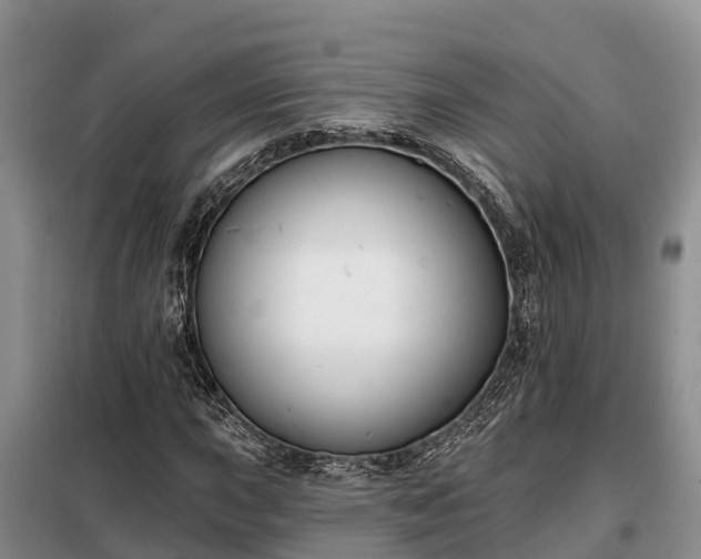 X0000099301015200805090949