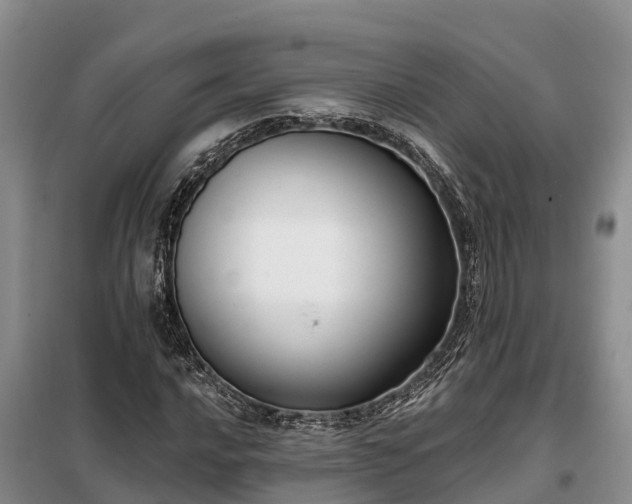 X0000099301016200805090949