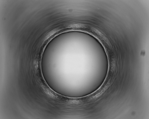 X0000099301017200805090949