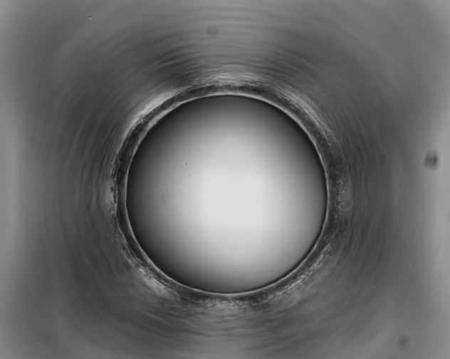 X0000099301018200805090949