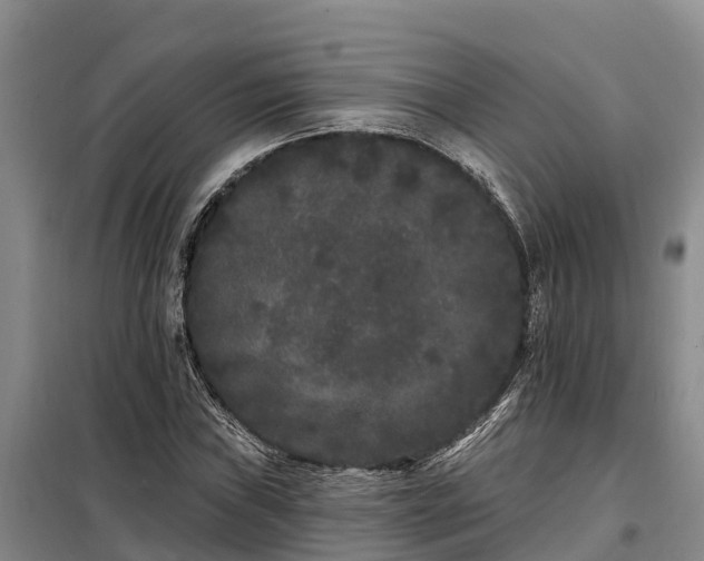 X0000099301019200805090949